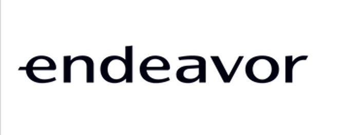 endeavor